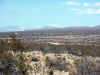 lila222_6nw9_101204.jpg (81583 bytes)