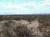 lila222_6sw8_101204.jpg (19857 bytes)